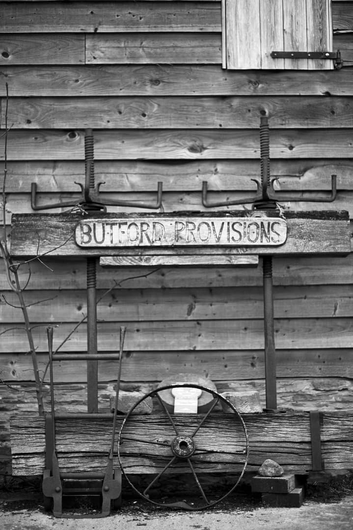 Solar panels at Butford Organics